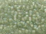 TOHO Round Beads 8/0 - 176AF Transparent Rainbow Frosted Black Diamond (ca. 9g)