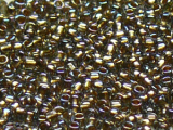 TOHO Round Beads 11/0 - 999 Gold-Lined Rainbow Black Diamond (50g Vorteilspack)