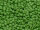 TOHO Round Beads 8/0 - 2603F Semi Glazed Clover (50g Vorteilspack)