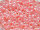 TOHO Round Beads 8/0 - 906 Ceylon Tomato Soup (50g Vorteilspack)