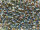 TOHO Round Beads 8/0 - 997 Gold-Lined Rainbow Light Sapphire (50g Vorteilspack)