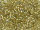 TOHO Treasure Beads 11/0 - 262 Gold-Lined Crystal (ca. 5g)