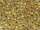 TOHO Round Beads 11/0 - 989FM Gold-Lined Frosted Matte Crystal (50g Vorteilspack)