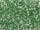 TOHO Round Beads 11/0 - 2202 Silver-Lined Prairie Green (50g Vorteilspack)