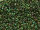 TOHO Round Beads 15/0 - 707 Matte Iris Peridot (ca. 6g)