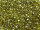 TOHO 3-Cut 12/0 - 457 Gold-Lustered Green Tea (30g Vorteilspack)
