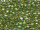 TOHO Round Beads 11/0 - 380 Mint/Julep-Lined Topaz (50g Vorteilspack)