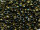 TOHO Round Beads 8/0 - 244 Jet-Lined Rainbow Light Topaz (50g Vorteilspack)