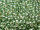TOHO Round Beads 15/0 - PF560 PermaFinish Galvanized Sea Foam (30g Vorteilspack)