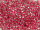 TOHO 3-Cut 12/0 - 356 Fuchsia-Lined Light Amethyst (30g Vorteilspack)