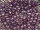 TOHO Round Beads 8/0 - 928 Opaque Purple-Lined Rainbow Rosaline (50g Vorteilspack)