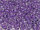TOHO Round Beads 8/0 - 935 Purple-Lined Crystal (50g Vorteilspack)
