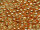 TOHO Round Beads 6/0 - PF551 PermaFinish Galvanized Rose Gold (50g Vorteilspack)