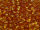 TOHO Round Beads 6/0 - 2C Transparent Topaz (50g Vorteilspack)