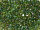 TOHO 3-Cut 12/0 - 180 Transparent Rainbow Olivine (30g Vorteilspack)