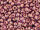 TOHO Round Beads 8/0 - 202 Gold-Lustered Lilac (ca. 9,5g)