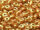 Superduo 2,5x5mm "Luster Opaque Rose/Gold Topaz" (ca. 6g)
