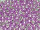 TOHO Round Beads 11/0 - PF581 PermaFinish Galvanized Violet (50g Vorteilspack)