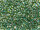 TOHO 3-Cut 12/0 - 284 Gold-Lined Aqua (30g Vorteilspack)