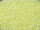 TOHO Round Beads 15/0 - 142 Ceylon Banana Cream (30g Vorteilspack)