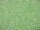 TOHO Round Beads 15/0 - 172 Transparent Rainbow Mint Green (30g Vorteilspack)