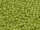 TOHO Round Beads 15/0 - 2602F Semi-Glazed Honeydew (30g Vorteilspack)