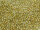TOHO Round Beads 15/0 - 369 Beige-Lined Crystal (30g Vorteilspack)