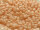 TOHO Round Beads 11/0 - 763 Opaque Pastel Frosted Apricot (50g Vorteilspack)