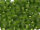 TOHO Round Beads 15/0 - 940F Transparent Frosted Olivine (30g Vorteilspack)