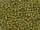 TOHO Round Beads 15/0 - 2630F Semi-Glazed Rainbow Lemongrass (ca. 6g)