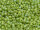TOHO Round Beads 15/0 - 2632F Semi-Glazed Rainbow Honeydew (30g Vorteilspack)