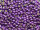 TOHO Round Beads 11/0 - PF581F PermaFinish Galvanized Frosted Violet (50g Vorteilspack)