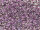 TOHO Round Beads 11/0 - 936 Dark Lilac-Lined Crystal (50g Vorteilspack)