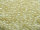 TOHO Round Beads 11/0 - 123L Opaque Lustered Light Cream (50g Vorteilspack)