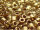 Miyuki Delica 11/0 DB22L Light Bronze (25g Vorteilspack)