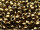 TOHO Round Beads 11/0 - 221 Bronze (50g Vorteilspack)