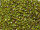 TOHO Round Beads 15/0 - 747 Copper-Lined Lime Green (30g Vorteilspack )