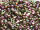 TOHO 3-Cut 12/0 - 509 Higher-Metallic Purple/ Green Iris (30g Vorteilspack)