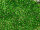 TOHO Round Beads 11/0 - 27 Silver-Lined Peridot (50g Vorteilspack)