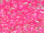 TOHO Round Beads 11/0 - 978 Luminous Neon Pink (ca. 10g)