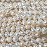 Süßwasserperlen Semi Round ca.3.5-4.5mm Cream AA Strang ca. 35cm