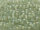 TOHO Round Beads 8/0 - 176AF Transparent Rainbow Frosted Black Diamond (ca. 9g)
