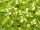 TOHO Triangle Beads 11/0 - 24 Silver-Lined Lime Green (ca. 10g)