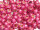 TOHO Round Beads 6/0 - PF563F PermaFinish Galvanized Matte Orchid (50g Vorteilspack)