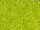 TOHO Treasure Beads 11/0 - 4 Transparent Lime Green (ca. 5g)