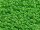 TOHO Treasure Beads 11/0 - 47F Opaque Frosted Mint Green (25g Vorteilspack)