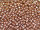 TOHO Round Beads 8/0 - PF556 PermaFinish Galvanized Mauve (50g Vorteilspack)