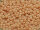 TOHO Round Beads 11/0 - 764 Opaque Frosted Pastel Shrimp (50g Vorteilspack )