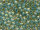 TOHO Round Beads 11/0 - 952 Seafoam-Lined Rainbow Light Topaz (50g Vorteilspack)