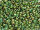 TOHO Round Beads 11/0 - 707 Matte-Color Iris Peridot (50g Vorteilspack)